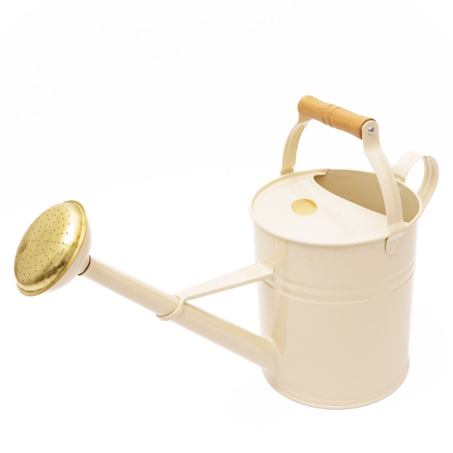 Gießkanne 5l aus Metall